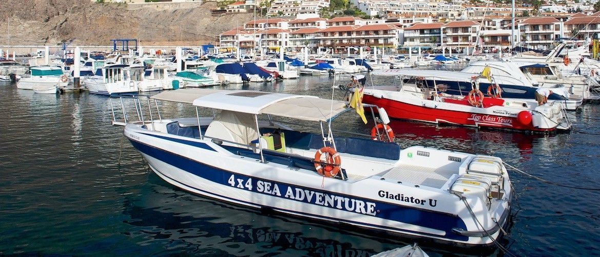 Avistamiento de ballenas en Tenerife