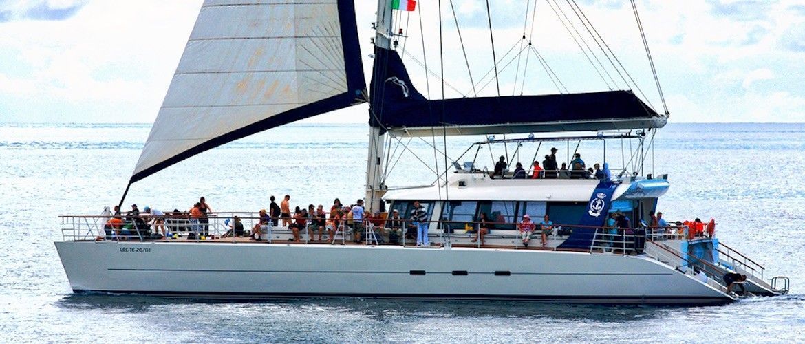 Freebird catamaran Tenerife