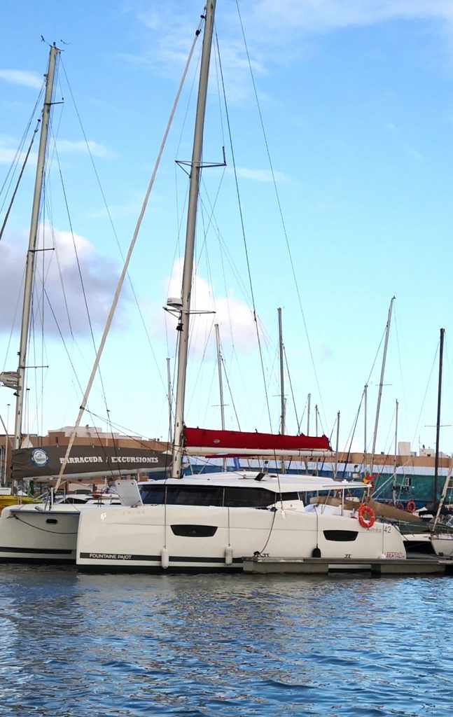 Catamarán Libertad VII en 2025 4 Catamarán Tenerife excursión en barco