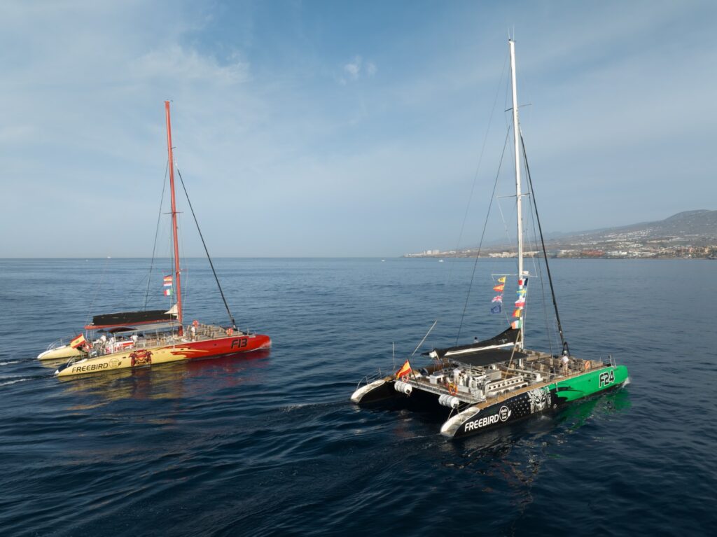 Catamarán Freebird F13 y Catamarán Freebird F24. Organización de fiestas en barco en Tenerife sur 2025. Vacaciones en Islas Canarias