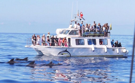 catamarán Nashira - Tenerife boat trip, excursión en barco y excursión en catamaran para tus vacaciones de 2025 en las Islas Canarias