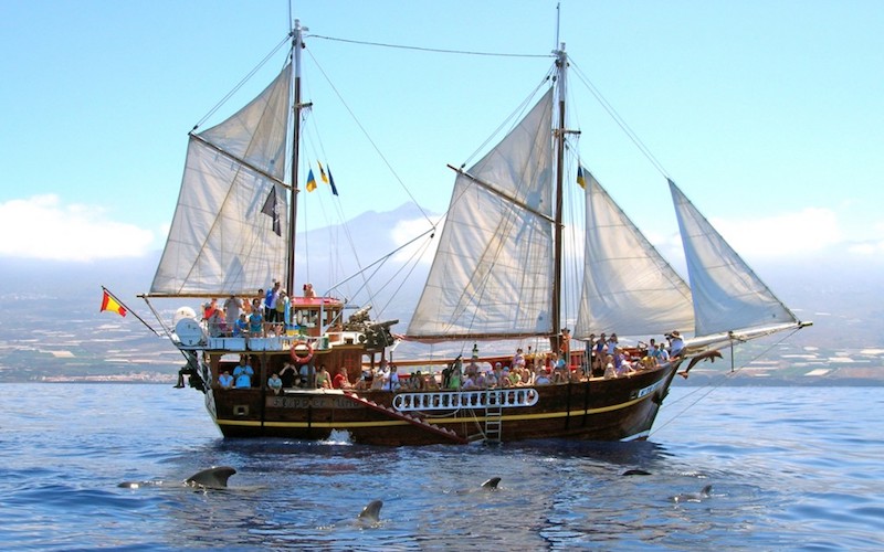 Goleta Flipper Uno - alquiler de barcos y organización de fiesta en barco o paseo en barco, velero, catamarán o goleta para grupos privados o grupos mixtos en Tenerife sur (Islas Canarias) - Organización de vacaciones de 2025 en Los Gigantes y Masca